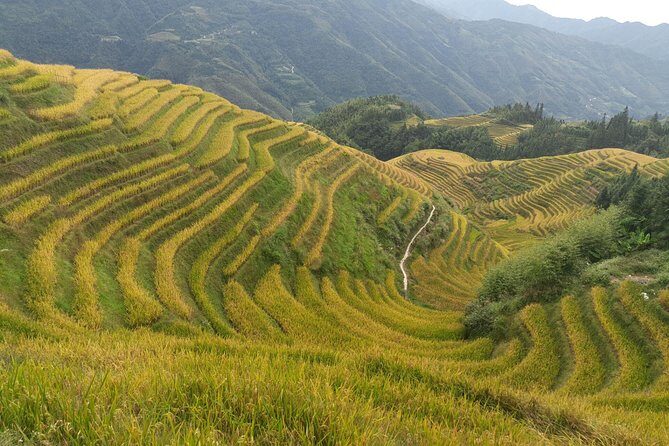 Guilin: Day tour of Longji Rice Terraces and Yangshuo - What Travelers Say