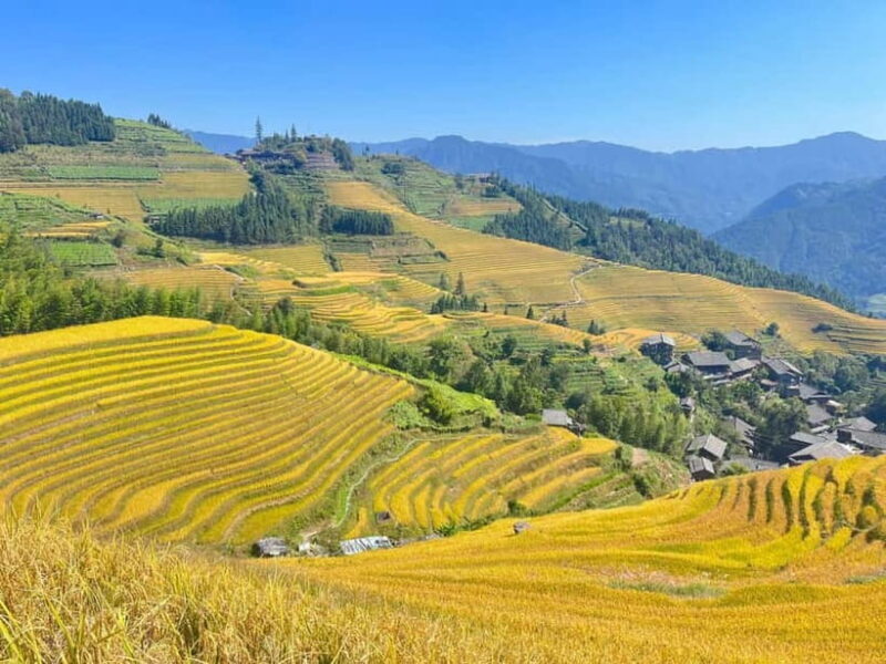 Guilin-Nanning: 8-Day Li River, Rice Terraces & Detian Falls - Key Points