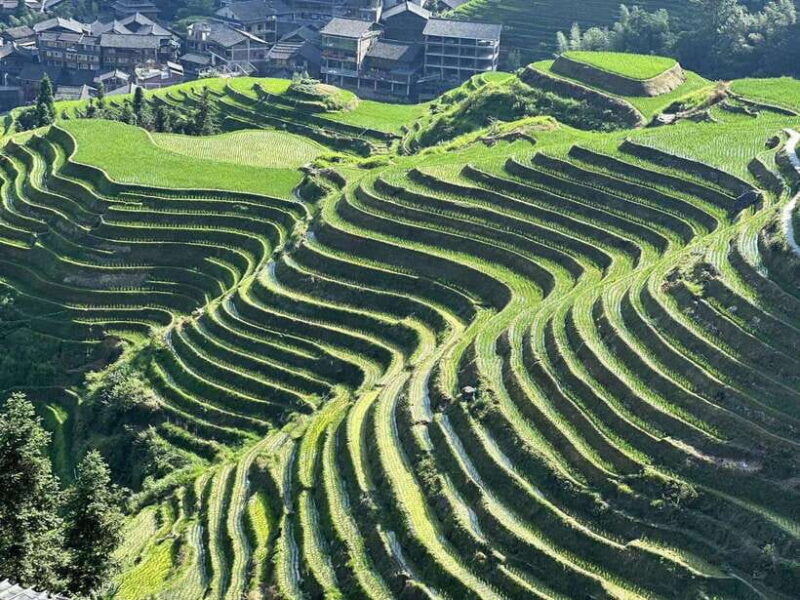 Guilin to Zhangjiajie 5D4N Private Tour - A Closer Look at the Itinerary and What You Can Expect