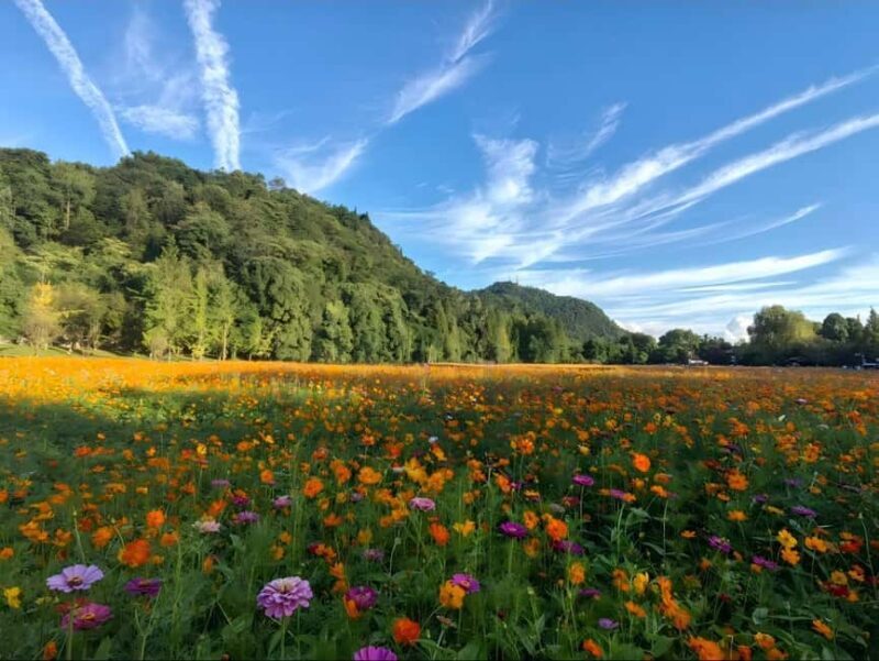 Guiyang: Yelang Valley & Huaxi Shili River Beach Tour - Authentic Local Flavors and Cultural Insights
