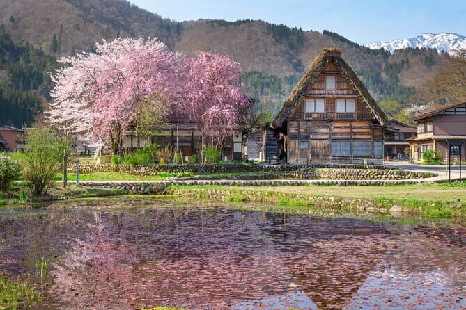 Gujo, Hida Takayama, and Shirakawa-go Day Tour from Nagoya - A Deep Dive into the Experience
