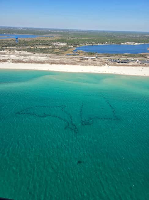 Gulf Shores, Orange Beach: 30-Minute Helicopter Tour - FAQ