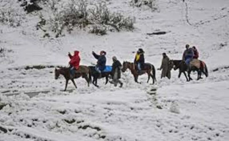 Gulmarg Day Trip: Horse Ride Through Scenic Landscapes - Key Points