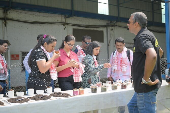 Guwahati Tea Garden tour @ Amchong - What to Expect from the Tour