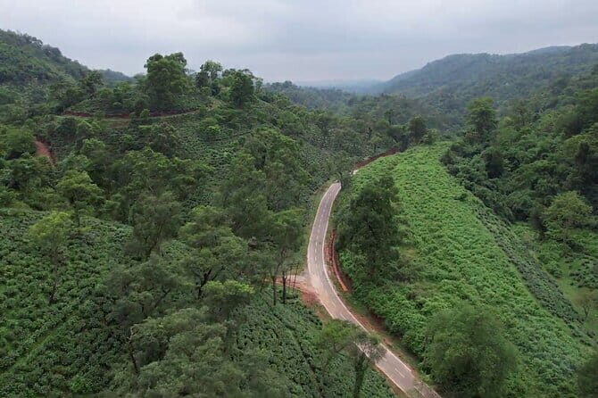 Guwahati Tea Garden tour @ Amchong - The Value for Money and Overall Experience