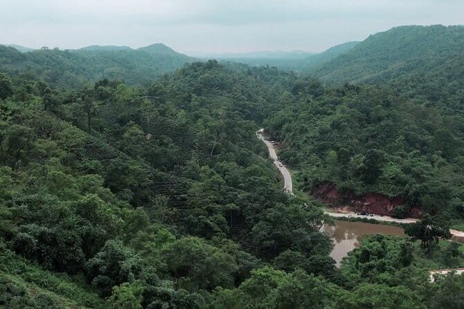 Guwahati Tea Garden tour @ Amchong - Why This Tour Is Worth Considering