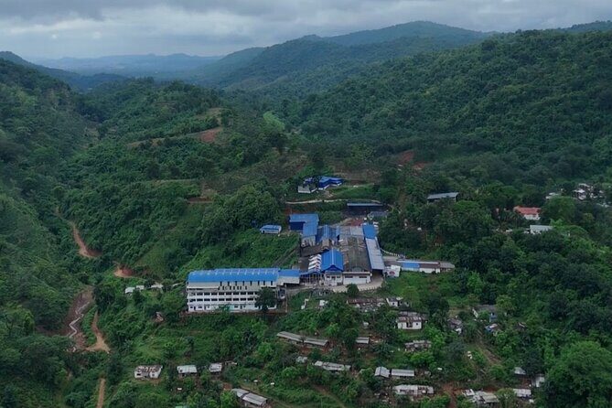 Guwahati Tea Garden Tour with Lunch & Hi Tea (Premium Experience) - What to Expect and Tips for Your Visit