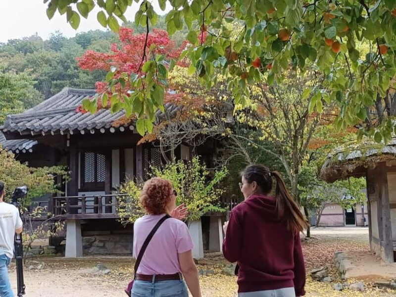 Gyeongbuk Day Trip: Omija Ssamjang Making & Mungyeong Trek - Practical Details and What You’ll Get