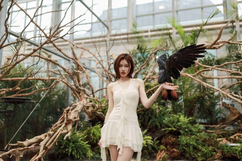 Gyeonggi: Gaypeong Begonia Bird Park Entry Ticket - What to Expect: An In-Depth Look