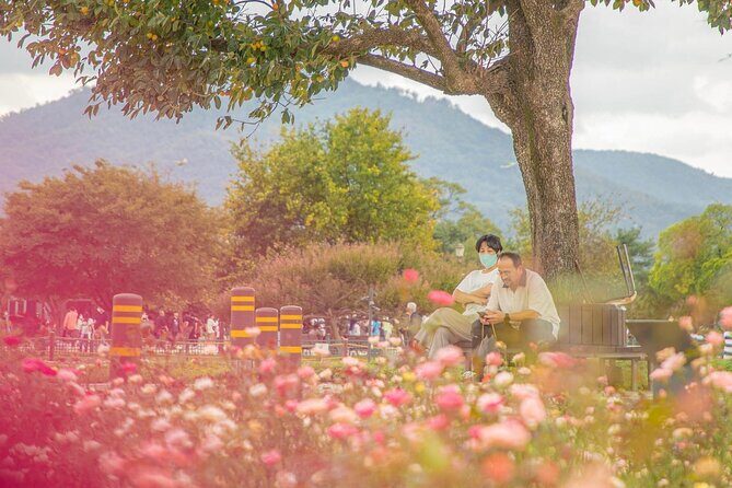Gyeongju Maple Tour from Busan - How the Tour Unfolds: A Step-by-Step Breakdown