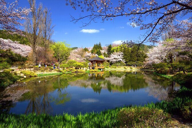 Gyeongju Maple Tour from Busan - Personal Experiences and Reviews