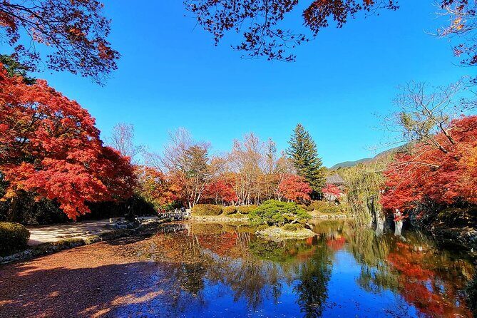 Gyeongju Maple Tour from Busan - The Sum Up: Who Should Consider This Tour?