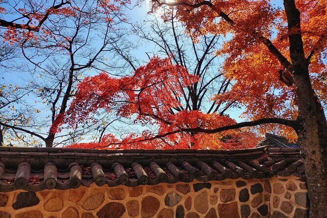 Gyeongju Maple Tour from Busan - FAQ
