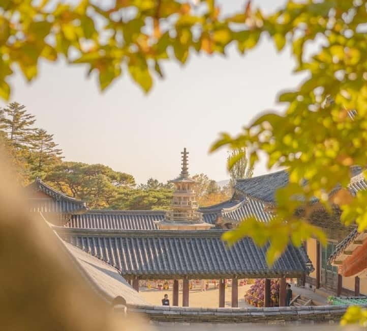 Gyeongju: Private Car Tour with a Licensed Tour Guide - Key Points