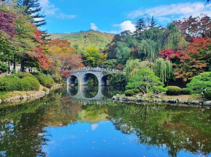Gyeongju: Private Car Tour with a Licensed Tour Guide - A Deep Dive into the Gyeongju Private Tour