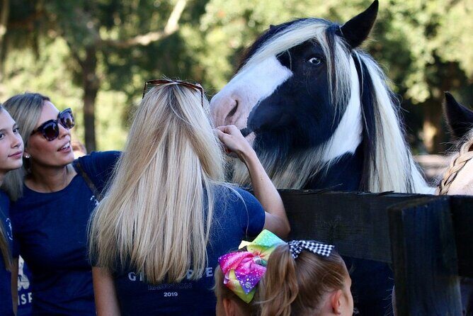 Gypsy Gold Horse Farm Tour - Practical Details and Tips