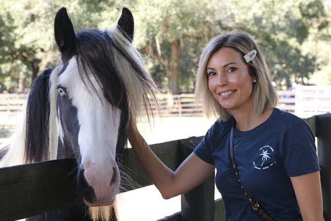 Gypsy Gold Horse Farm Tour - Frequently Asked Questions
