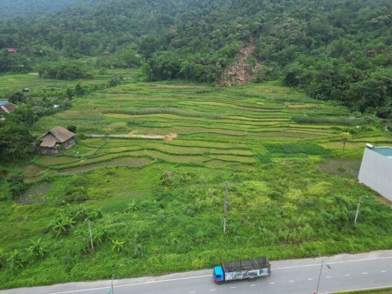 Ha Giang : 1 Day Trekking ethnic villages - An In-Depth Look at the Ha Giang 1-Day Trekking Tour