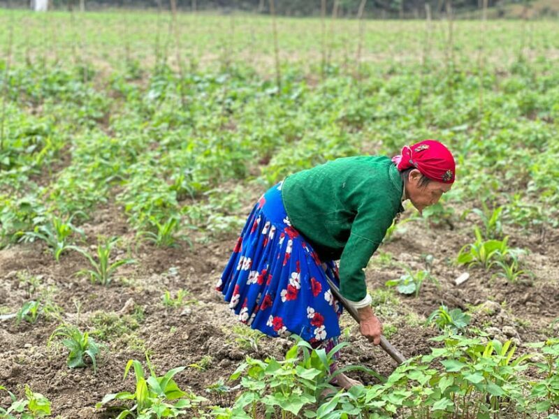 Ha Giang: 3-Day Loop Tour with Hmong Brothers - FAQ