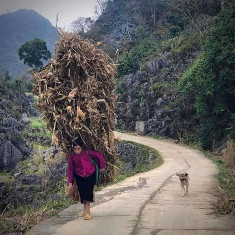Ha Giang: 4-Day Loop Motorbike Tour with Accommodation - What Makes This Tour Stand Out