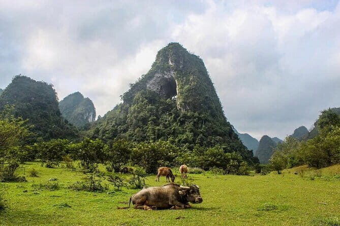 Ha Giang Cao Bang Loop 5 Days Private Tour with English Guide - Who Is This Tour Best For?