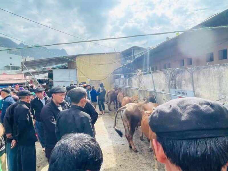 Ha Giang: Dong Van Market Fair Tour with Guide - Key Points
