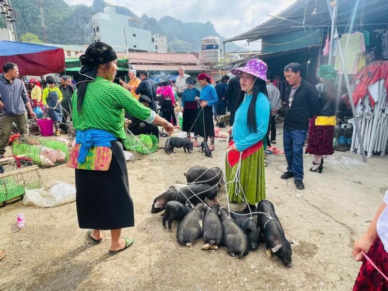 Ha Giang: Dong Van Market Fair Tour with Guide - An In-Depth Look at the Tour