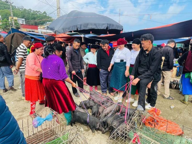 Ha Giang: Dong Van Market Fair Tour with Guide - Final Words