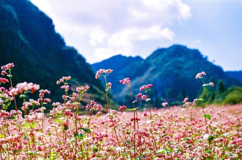 Ha Giang Loop 4Days - 3Nights With Easy Rider Tour Guide - Final Thoughts