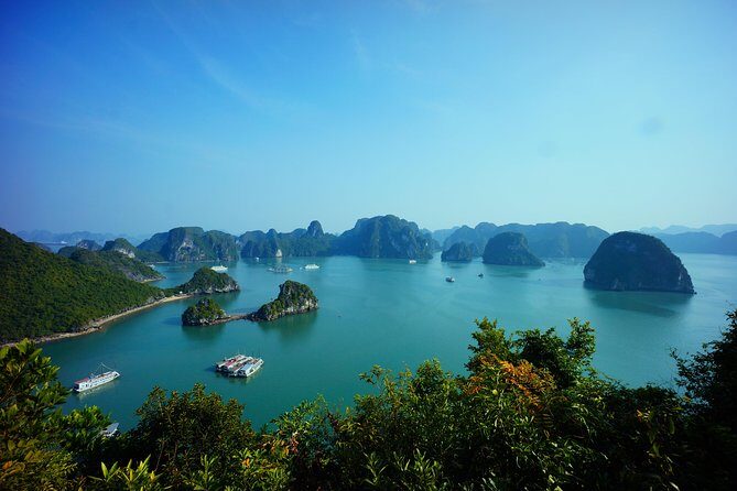 Ha Long Bay 1 Day Tour - What Travelers Say: Authentic Insights