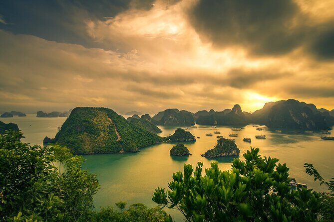 Ha Long Bay Cruise Day Tour-Cave, Kayaking,Ti top island & Lunch - Exploring the Itinerary: What You’ll Experience