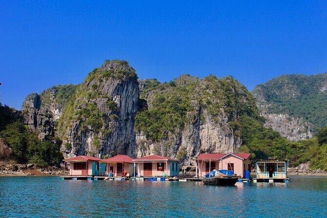 Ha Long Bay Day Cruise, Cave, Kayaking, Swimming, Bus & Lunch - Cruising Through the Bay: The Main Attractions