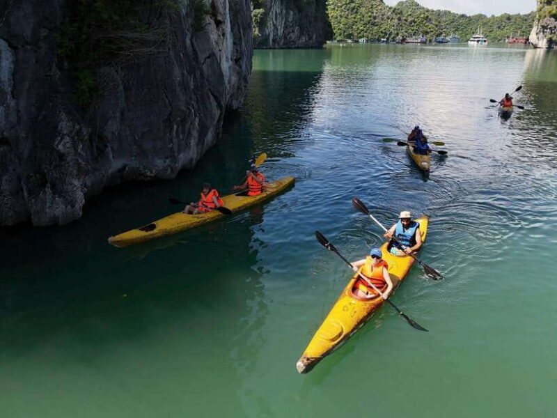 Ha Long Bay & Lan Ha Bay Day Tour on 5 Star Premium Cruise - Introduction
