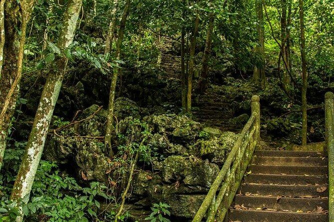 Ha Noi: Full-day Cuc Phuong National Park Eco-adventure - Starting Your Day in Hanoi