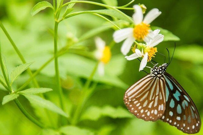 Ha Noi: Full-day Cuc Phuong National Park Eco-adventure - Exploring Cuc Phuong’s Natural and Historical Treasures
