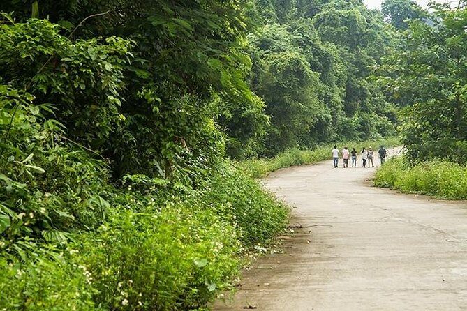 Ha Noi: Full-day Cuc Phuong National Park Eco-adventure - Returning and Reflecting