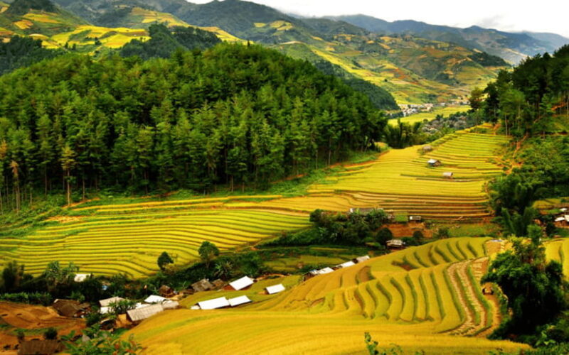 Ha Noi - Mai Chau - Pu Luong 2 Days 1 Night Trekking Tour - Authenticity and Comfort
