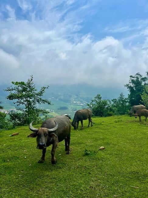Ha Noi-Sapa Authentic Trek & Homestay wih hmong women (2D1N) - Frequently Asked Questions