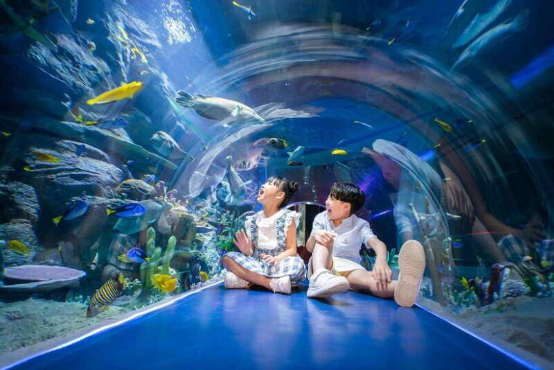 Ha Noi: VinKE and Vinpearl Aquarium Entry Ticket - An Honest Look at Hanoi’s VinKE and Vinpearl Aquarium Entry Ticket