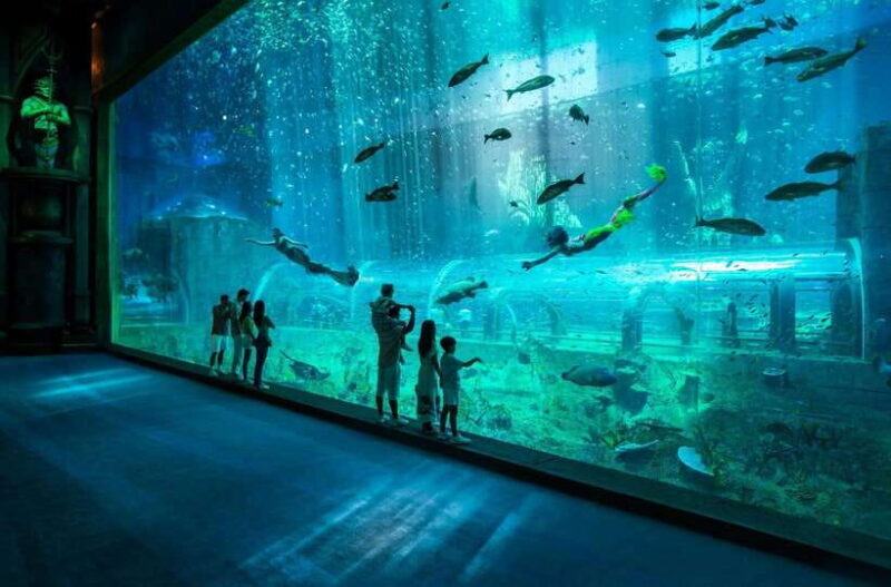 Ha Noi: VinKE and Vinpearl Aquarium Entry Ticket - What to Expect at VinKE and Vinpearl Aquarium