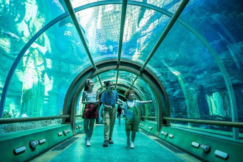 Ha Noi: VinKE and Vinpearl Aquarium Entry Ticket - Who Should Consider This Experience?