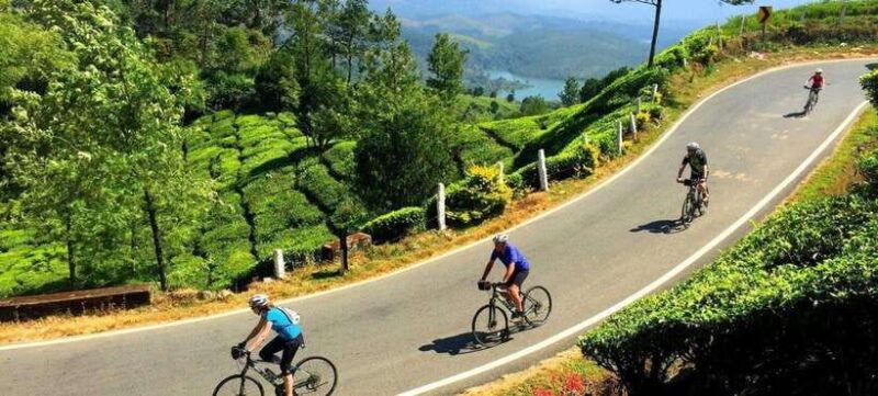 Habarana: Countryside Cycling Tour From Sigiriya, Dambulla - Discovering the Beauty of Rural Sri Lanka by Bike