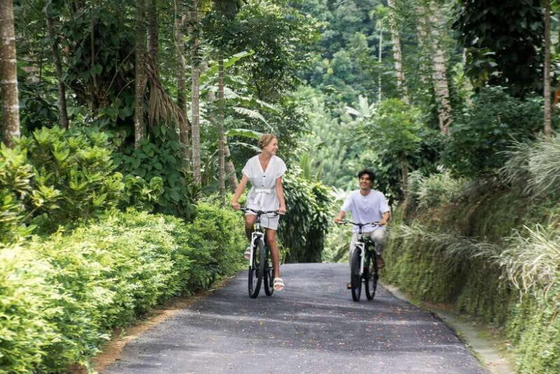 Habarana: Countryside Cycling Tour From Sigiriya, Dambulla - Who Should Consider This Tour?