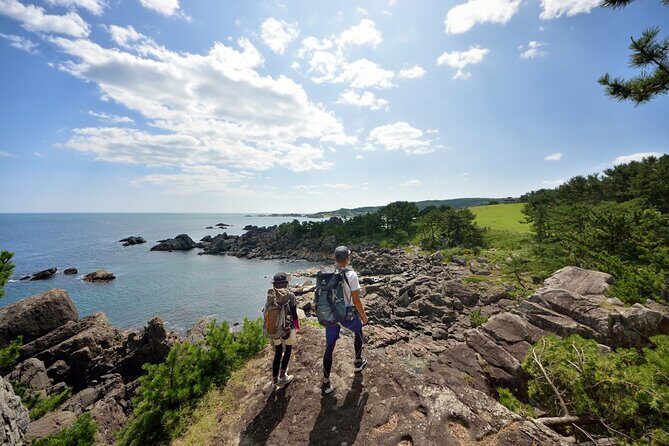 Hachinohe Full-Day Private Trip with Government-Licensed Guide - An In-Depth Look at the Tour