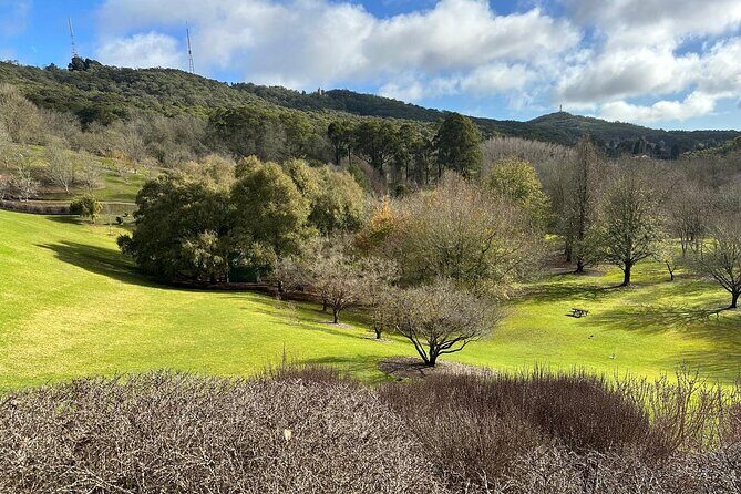 Hahndorf and Hills Wildlife Wonders - Key Points