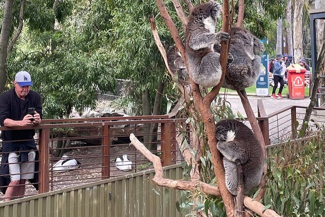 Hahndorf and Hills Wildlife Wonders - FAQ