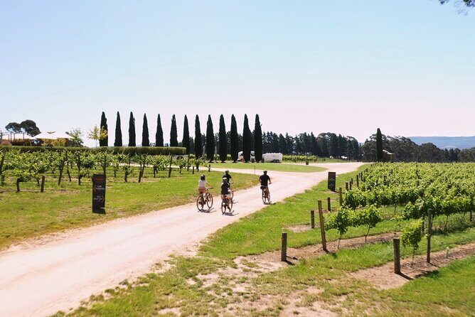 Hahndorf food and wine E-Bike Tour - FAQs
