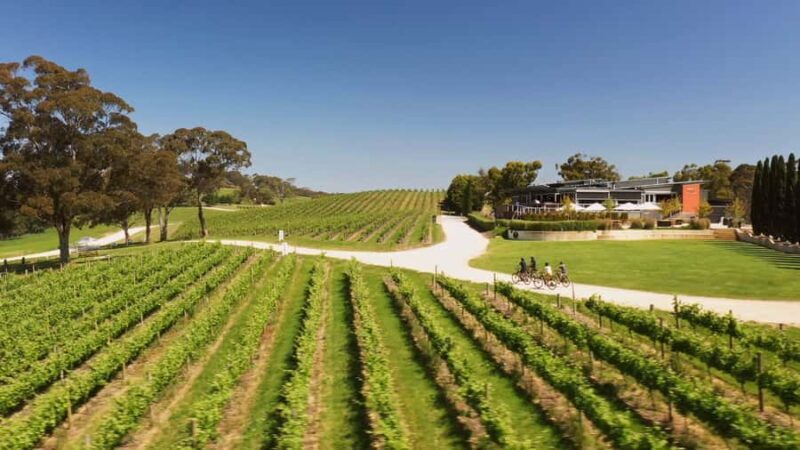 Hahndorf: Gourmet Food & Wine E-Bike Tour - FAQs