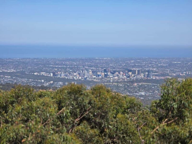 Hahndorf & Hills Full-Day Tour - The Sum Up