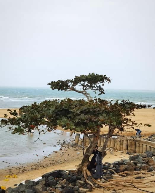 Haikou Nature & Local Life: Volcano, Wetlands & Old Markets - Exploring Haikou’s Natural Beauty and Cultural Charm in One Day